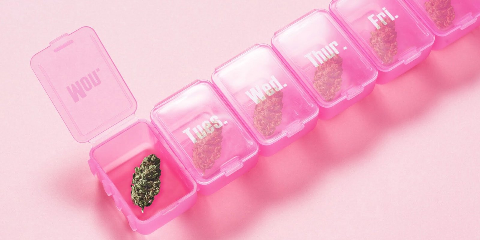 Pill box with cannabis plant inside
