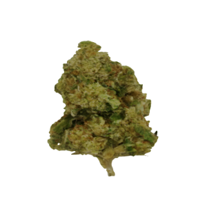 Indica-dominant Super Oreoz cannabis strain: sweet, milk-dipped, crunchy-grooved chocolate cookie flavors. THC up to 33%, mind-blowing.