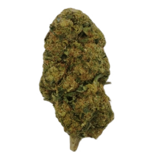 Hybrid Rainbow Runtz strain: Skittlez x Do-Si-Dos. Dark green nugs with purple hues. Aromas of herbs, lavender, sweet fruits. Flavors of pear, apricot, earthiness. 25% THC for uplifting high. Ideal for stress, insomnia, depression relief.