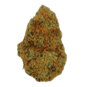 Meet Rotten Mangoes: a fruity marvel with tropical, citrusy taste. This 70/30 sativa-dominant hybrid boasts vibrant orange buds and 26% THC for an uplifting, euphoric high. Perfect for socializing and sparking creativity!