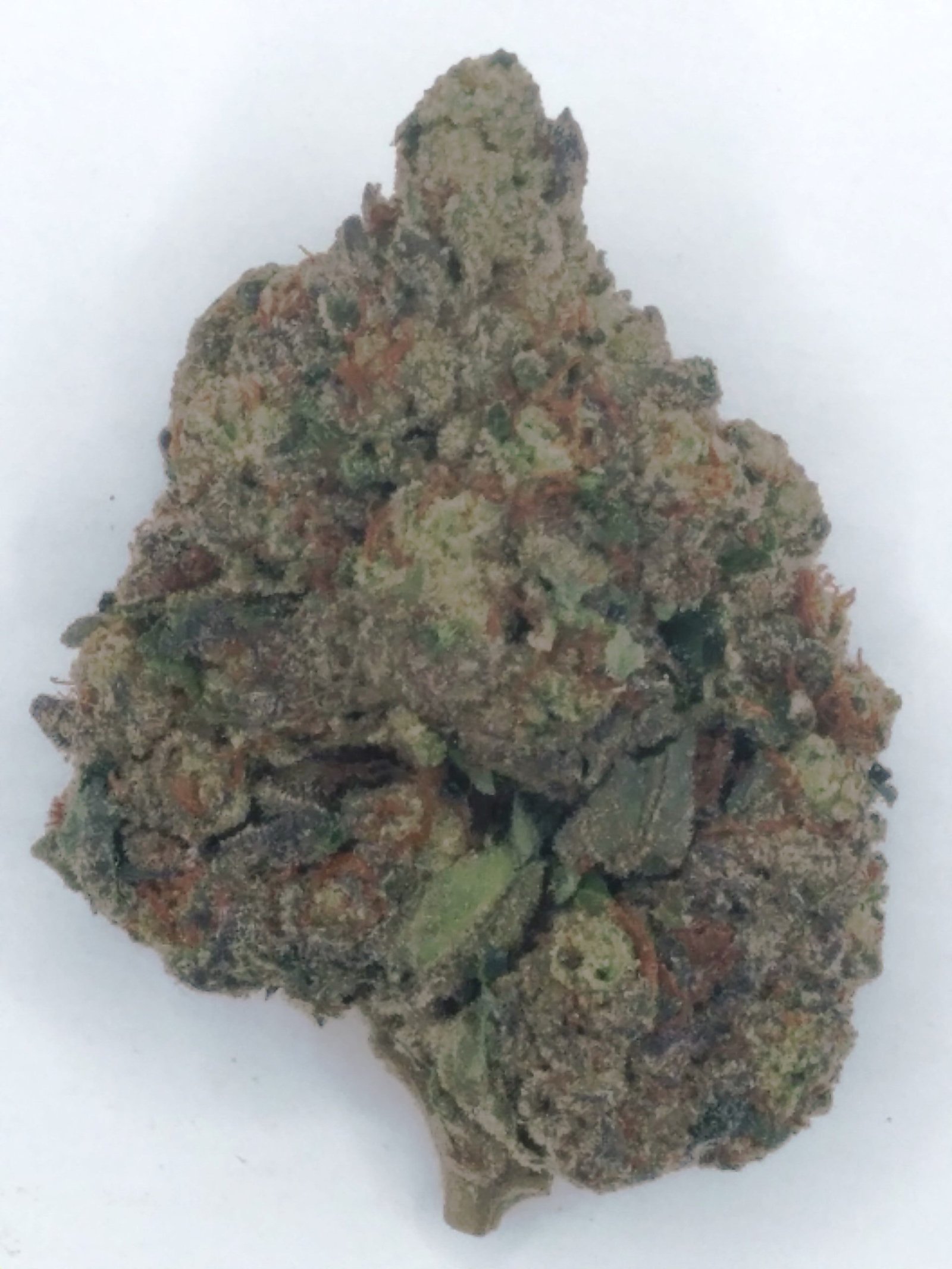 Cherry Popperz cannabis strain features sweet cherry-berry flavors and a relaxing high, perfect for uplifting afternoons and focus.