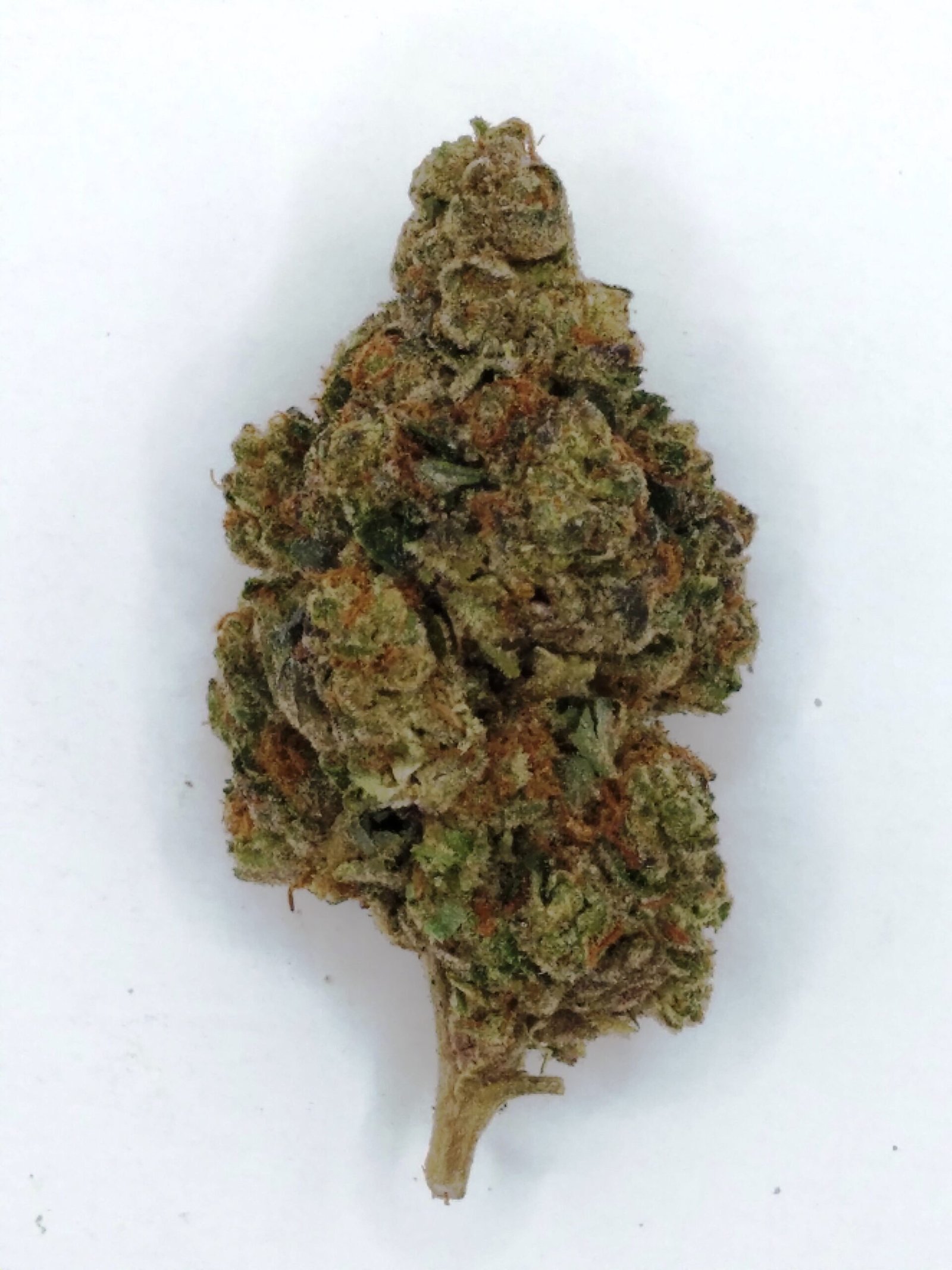 Gelatina cannabis strain features fluffy, grape-shaped buds with a sweet vanilla and cherry flavor, perfect for full-body relaxation.