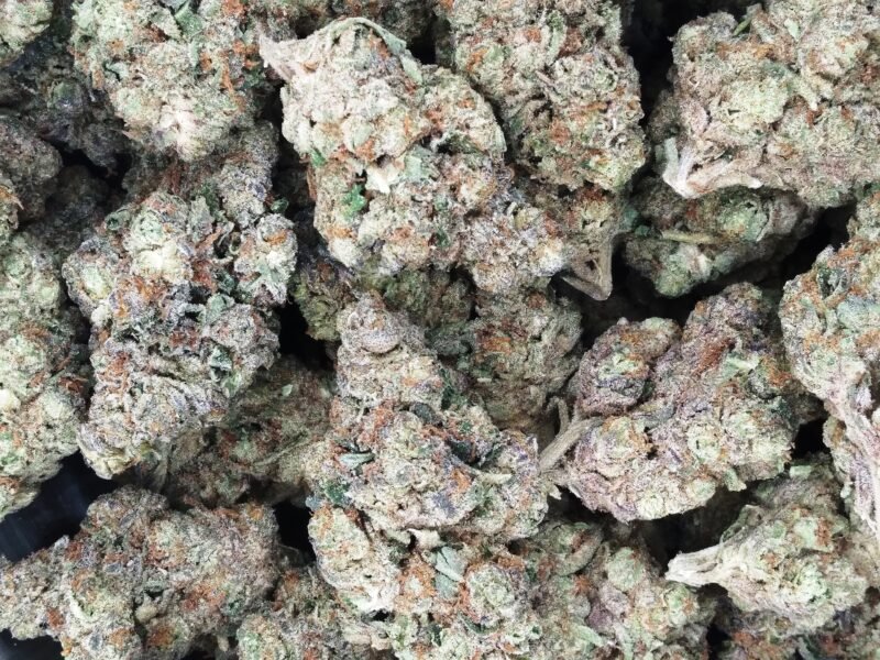 Gelatina cannabis strain features fluffy, grape-shaped buds with a sweet vanilla and cherry flavor, perfect for full-body relaxation.