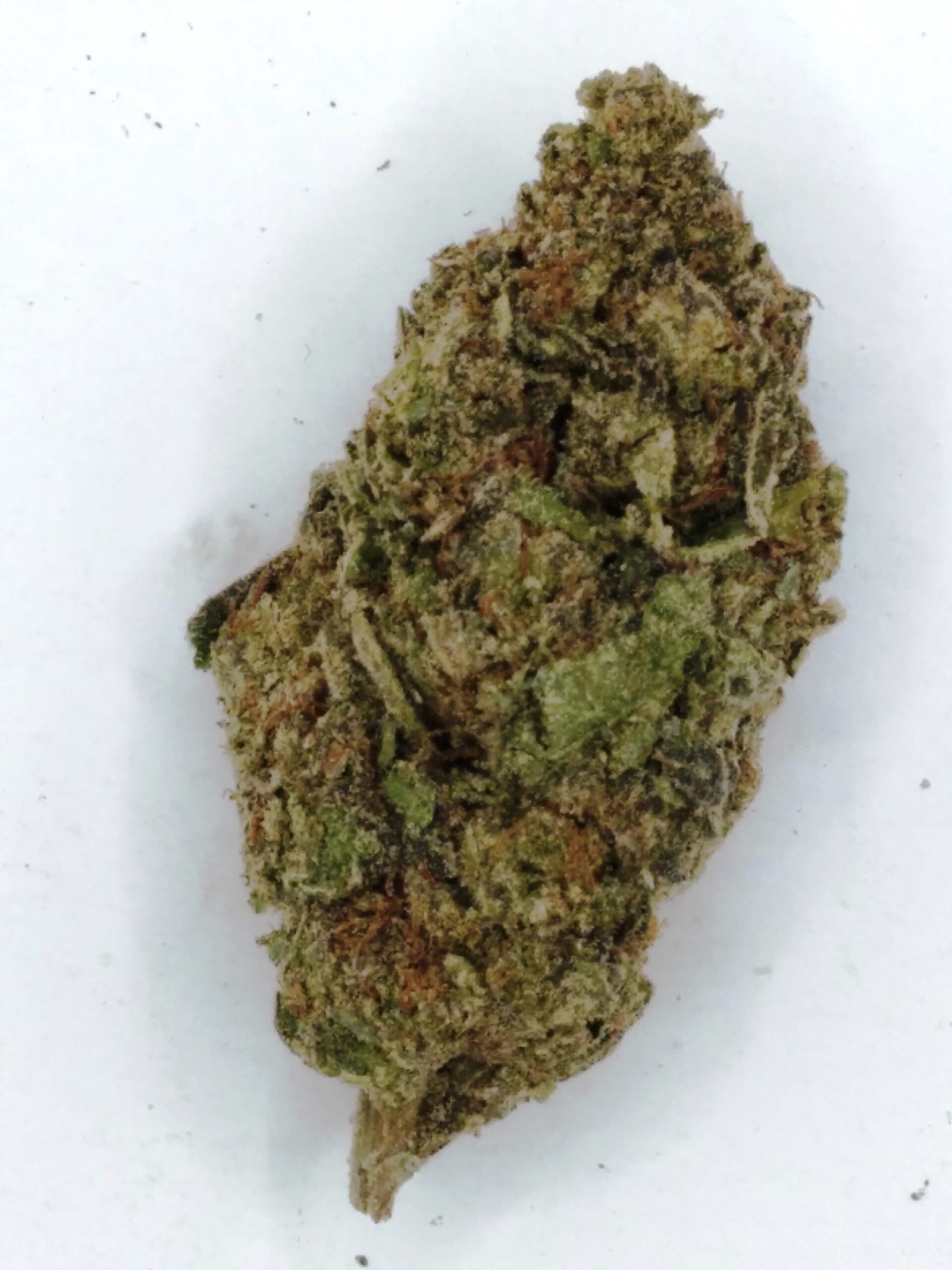 Venom OG cannabis strain features dense green buds with amber trichomes, offering deep relaxation and pain relief for users.