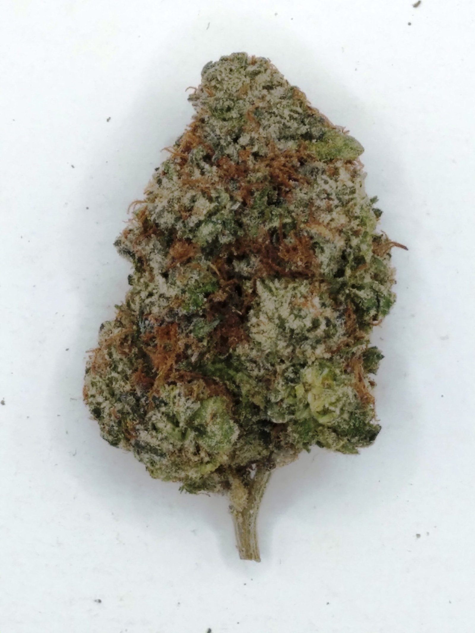 Enjoy the sweet vanilla taste and euphoric high of Wedding Gelato, a hybrid strain with frosty buds and relaxing effects.