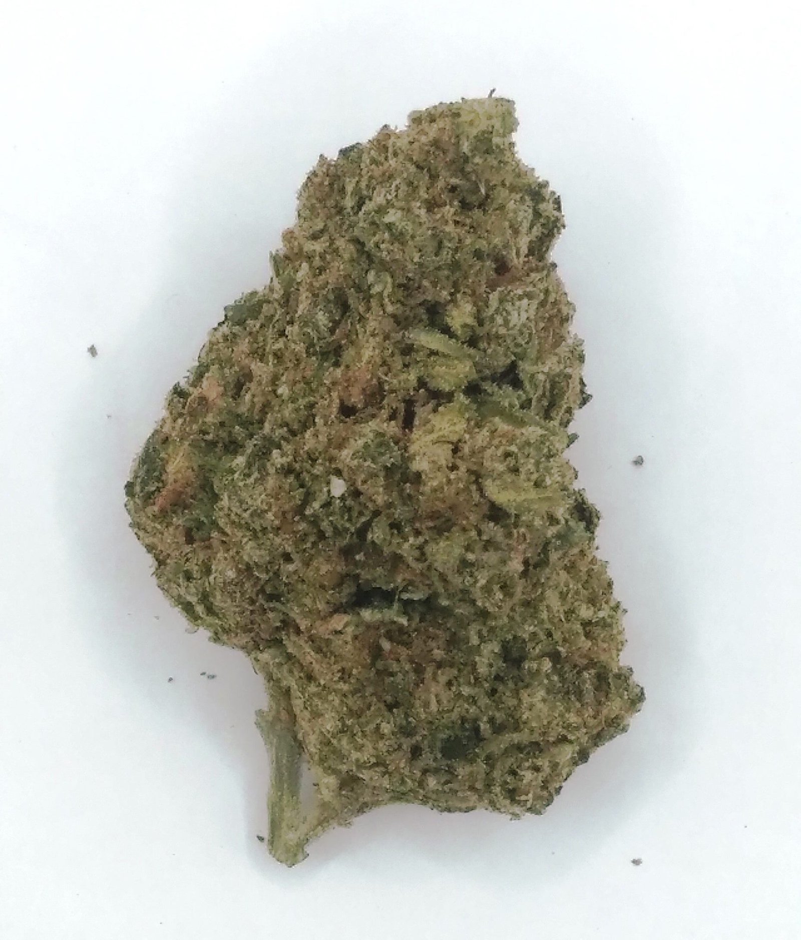 Blue Dream, 07-2025