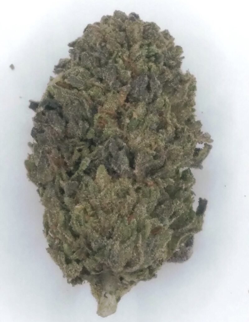Pink Runtz, 07-2025