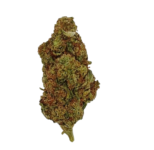 King Louis XIII, 04-2026