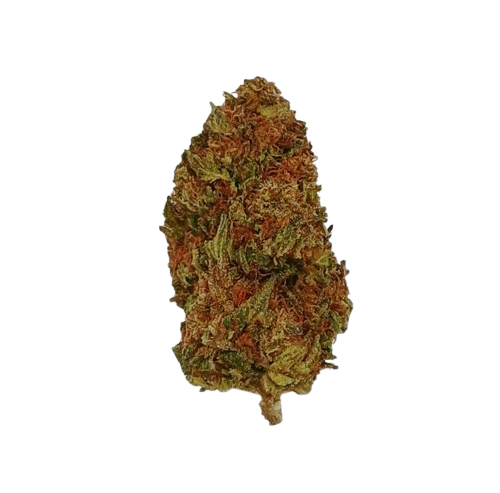 Papaya Punch, 04-2026