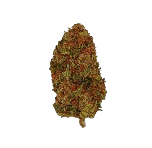 Papaya Punch, 04-2026