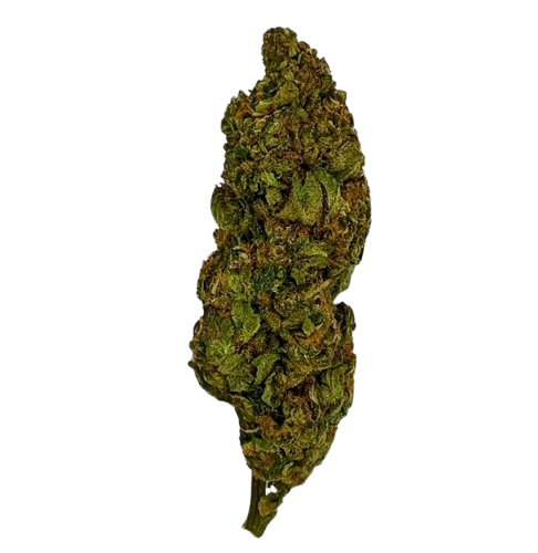 Cosmic Glue, 04-2026