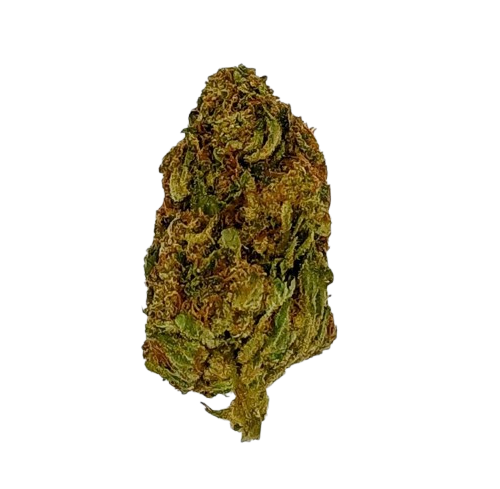 King's Kandy, 04-2026