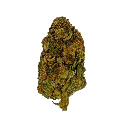 King's Kandy, 04-2026