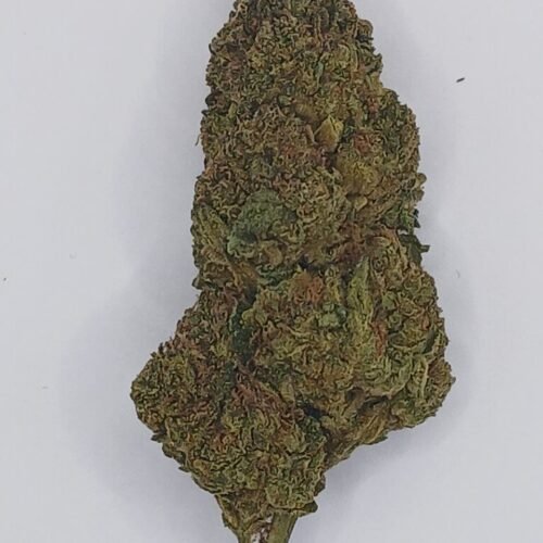 Bubble Gum