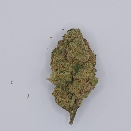 Purple Punch Pop