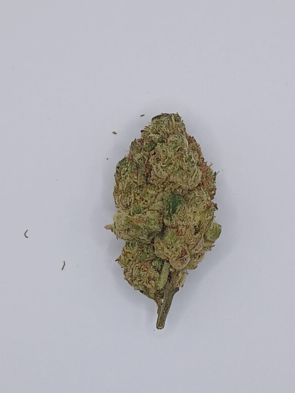 Purple Punch Pop